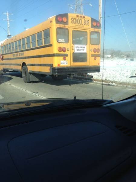 They Don't Care About The Rules (36 pics) They Don't Care About The Rules (36 pics)