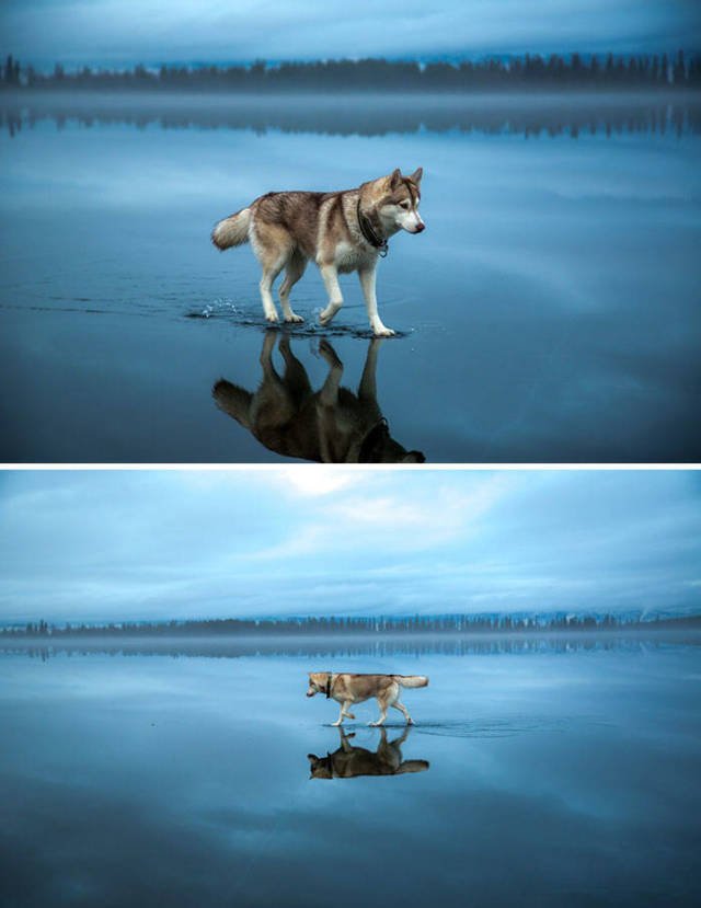 Amazing Physics (57 pics)