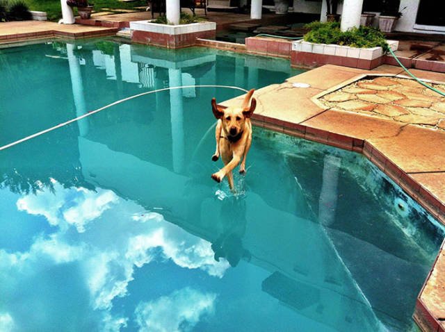 Amazing Physics (57 pics)