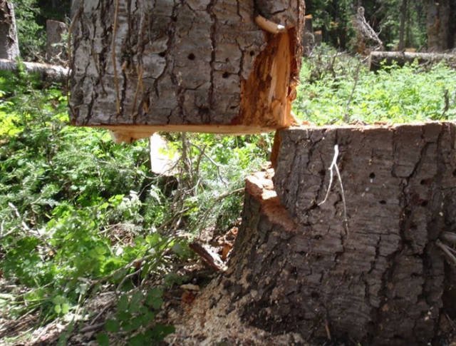 Amazing Physics (57 pics)
