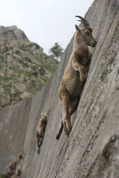 Amazing Physics (57 pics)