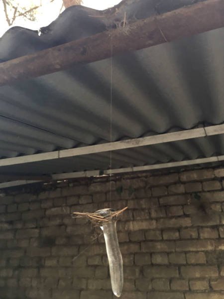 Amazing Physics (57 pics)