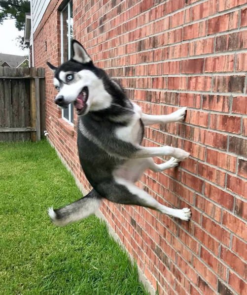 Amazing Physics (57 pics)