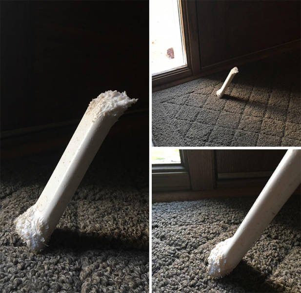 Amazing Physics (57 pics)