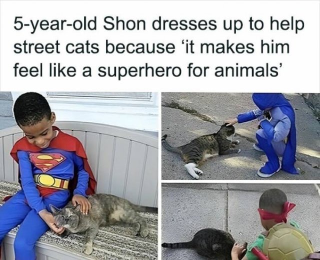 Memes With Animals (24 pics)