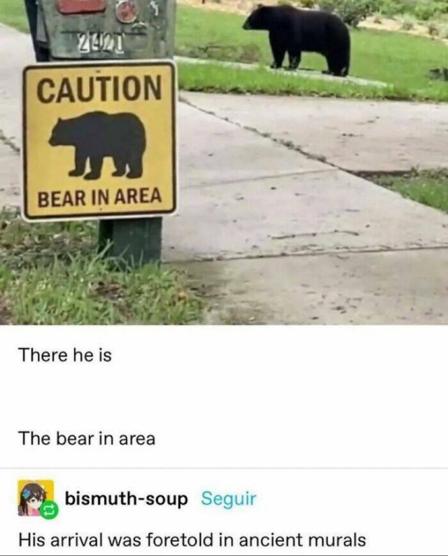 Memes With Animals (24 pics)