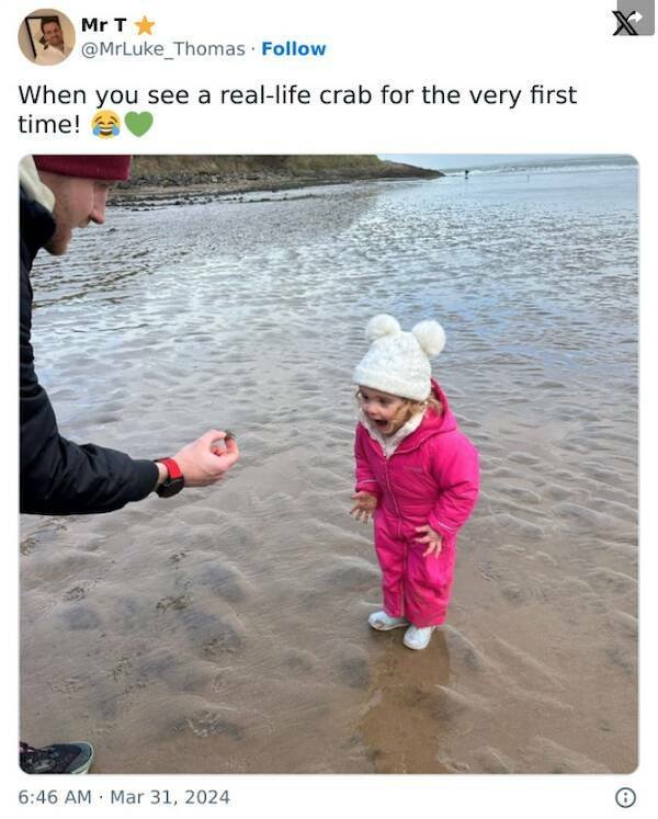 Life Is Beautiful (19 pics) Life Is Beautiful (19 pics)
