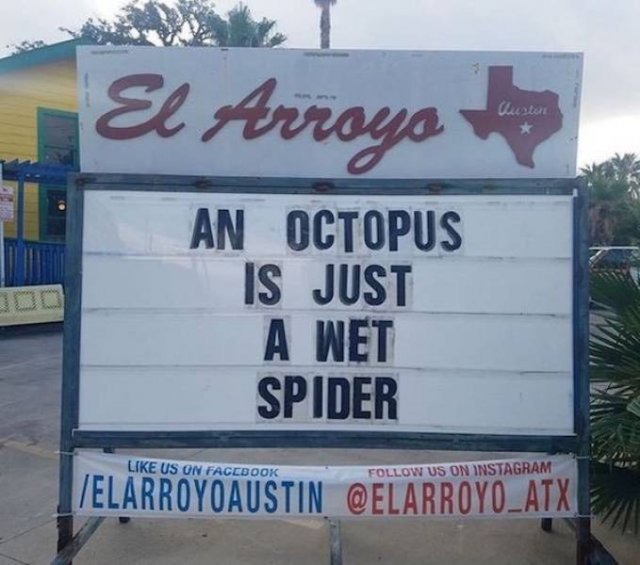 Funny Signs (26 pics) Funny Signs (26 pics)