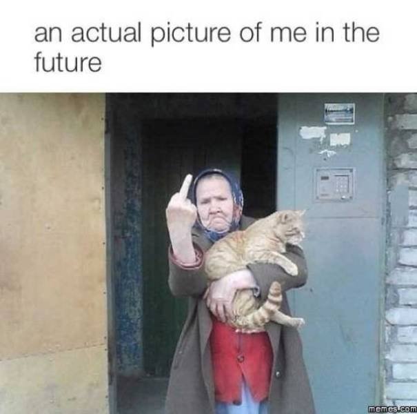 Memes For Introverts (29 pics) Memes For Introverts (29 pics)