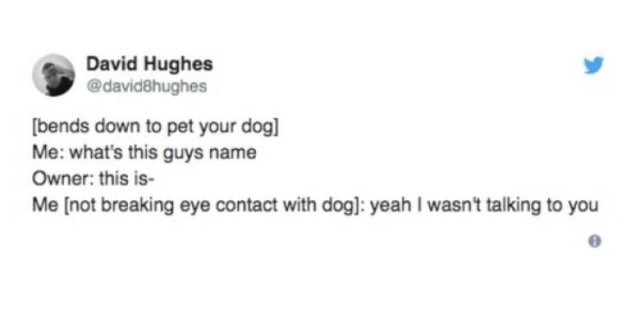 Memes For Introverts (29 pics) Memes For Introverts (29 pics)