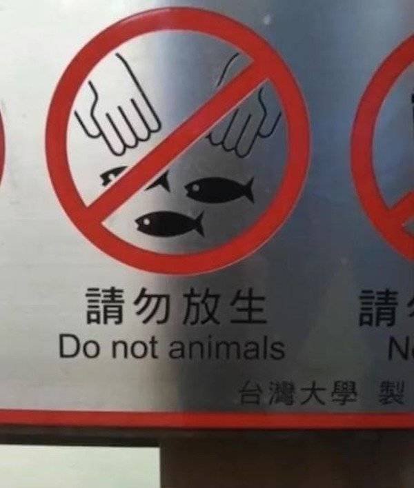 Funny Signs (26 pics) Funny Signs (26 pics)