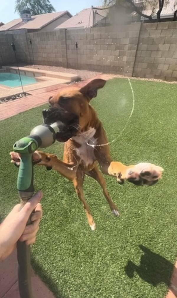 Life Is Beautiful (19 pics) Life Is Beautiful (19 pics)
