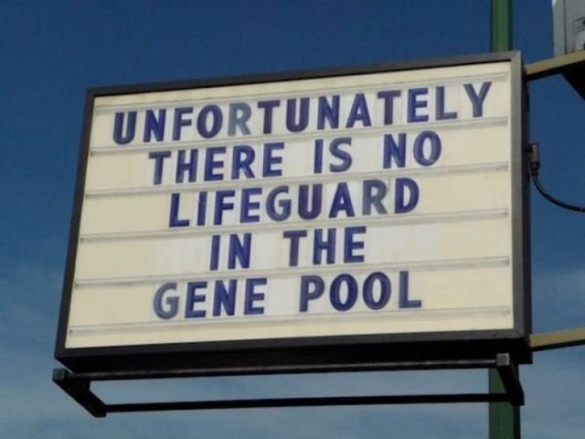 Funny Signs (26 pics) Funny Signs (26 pics)