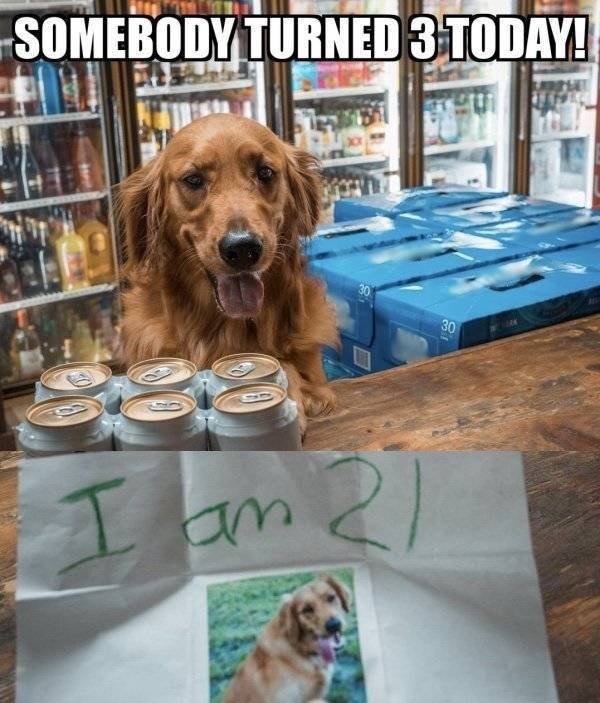Funny Photos And Memes for Alcohol Lovers (41 pics) Funny Photos And Memes for Alcohol Lovers (41 pics)