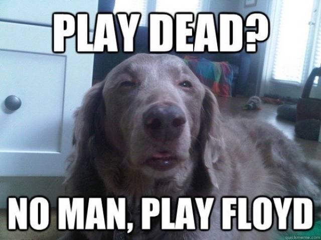 Funny Photos And Memes for Alcohol Lovers (41 pics) Funny Photos And Memes for Alcohol Lovers (41 pics)
