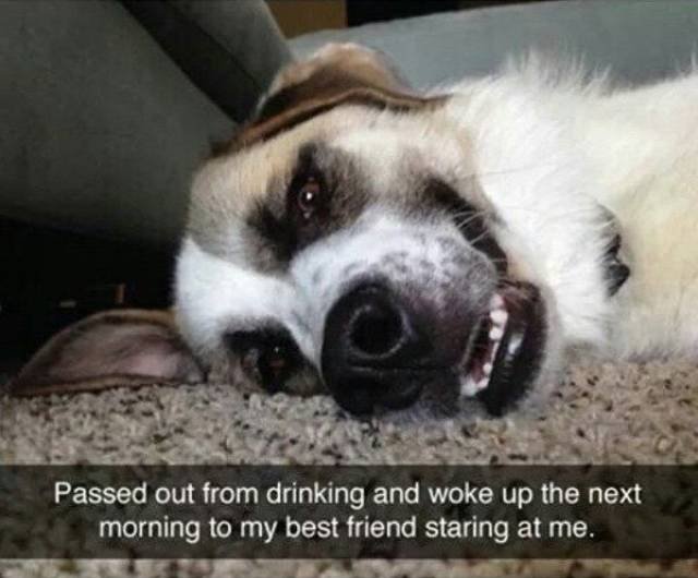 Funny Photos And Memes for Alcohol Lovers (41 pics) Funny Photos And Memes for Alcohol Lovers (41 pics)