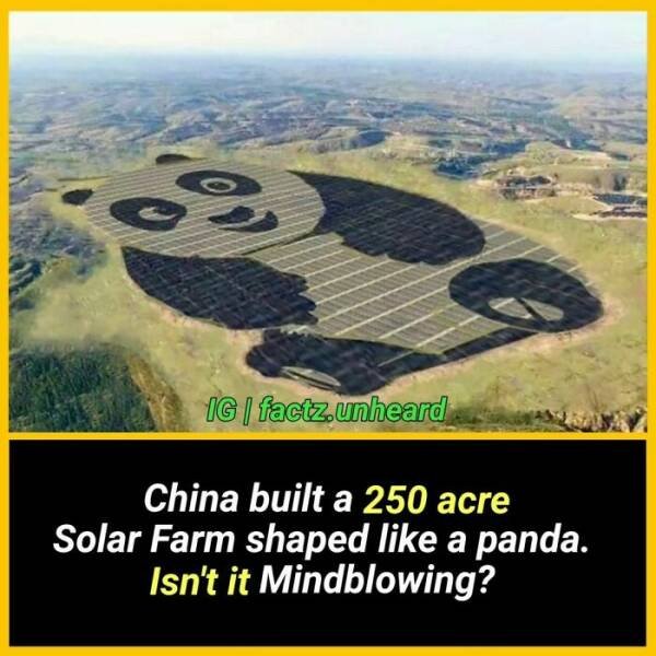 Random Facts (24 pics) Random Facts (24 pics)