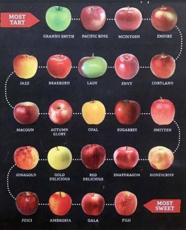 Culinary Tips And Charts (30 pics)