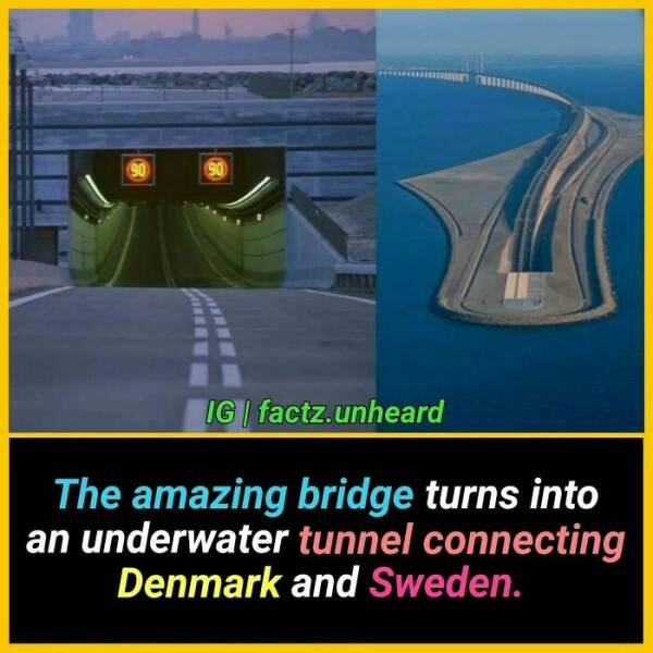 Random Facts (24 pics) Random Facts (24 pics)