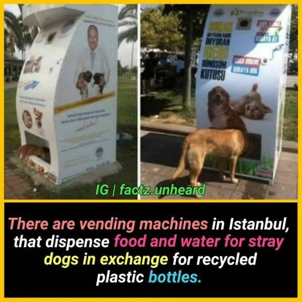 Random Facts (24 pics) Random Facts (24 pics)