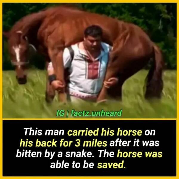 Random Facts (24 pics) Random Facts (24 pics)