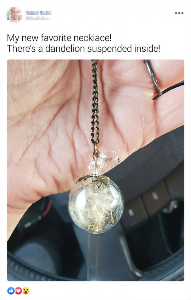 Unusual Finds In Thrift Shops (16 pics)