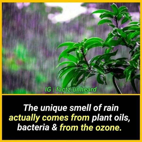 Random Facts (24 pics) Random Facts (24 pics)