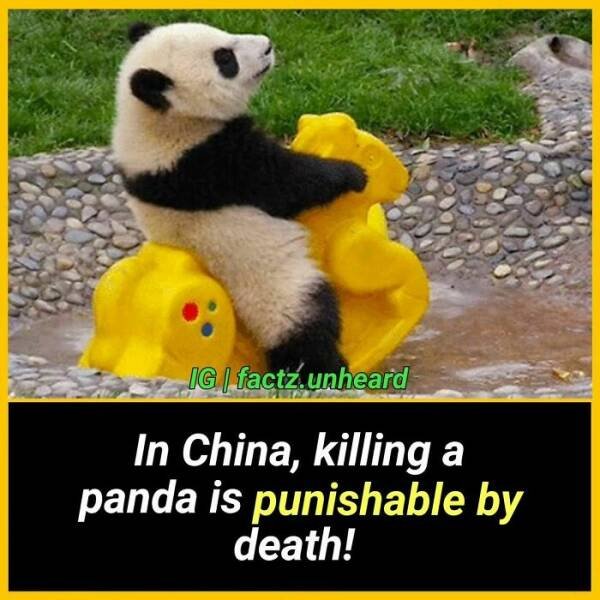 Random Facts (24 pics) Random Facts (24 pics)