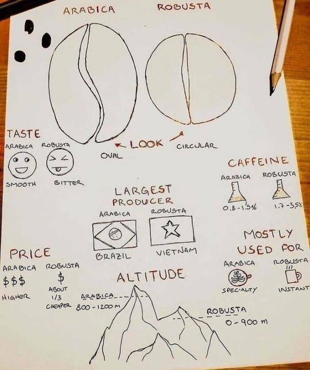 Culinary Tips And Charts (30 pics)