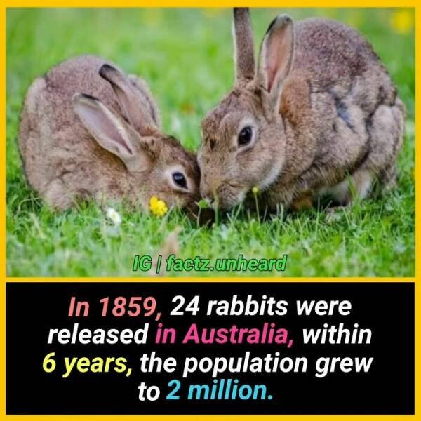 Random Facts (24 pics) Random Facts (24 pics)