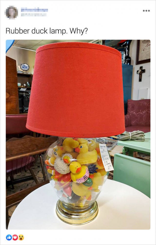 Unusual Finds In Thrift Shops (16 pics)