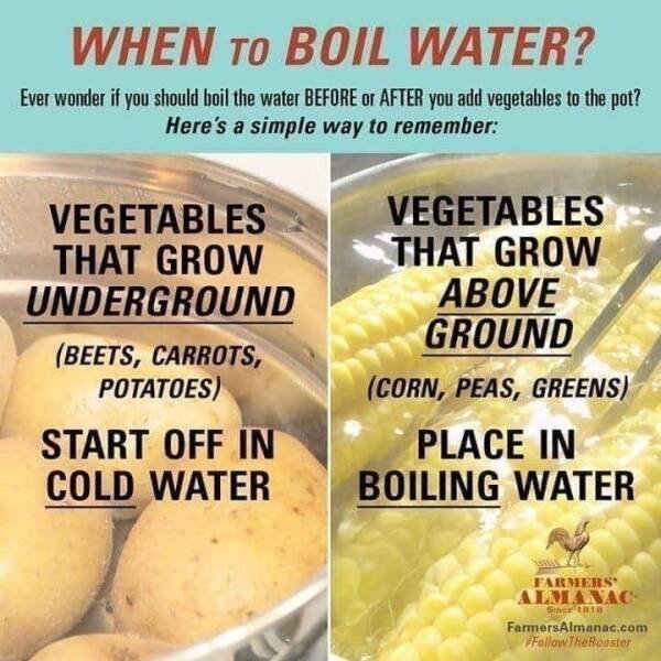 Culinary Tips And Charts (30 pics)