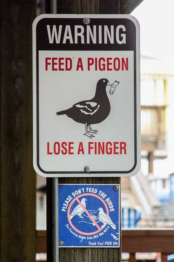 Weird And Funny Signs (30 pics)