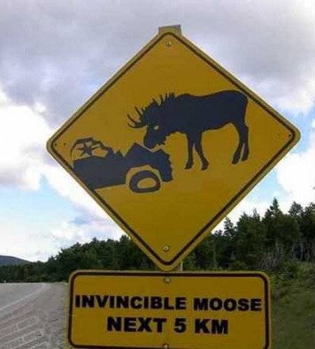 Weird And Funny Signs (30 pics)