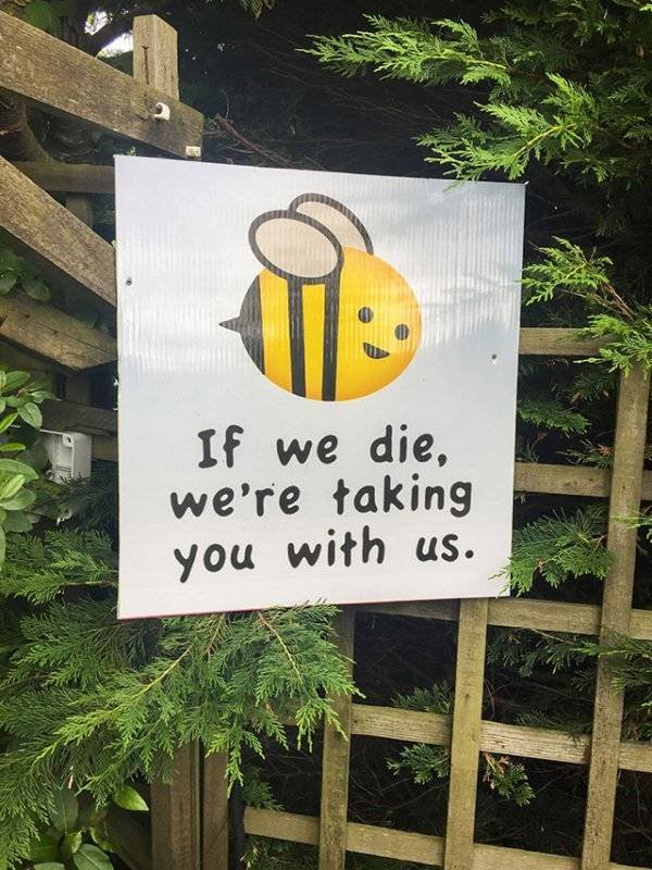 Weird And Funny Signs (30 pics)