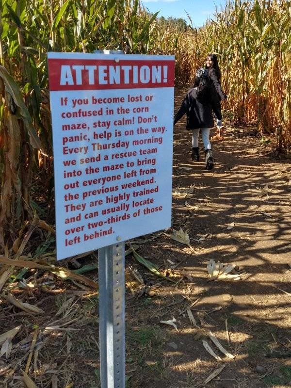Weird And Funny Signs (30 pics)