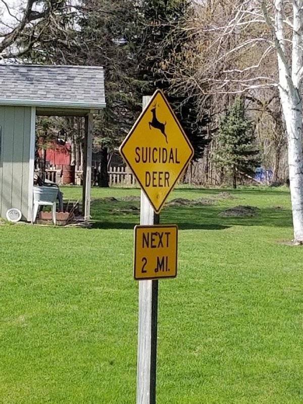 Weird And Funny Signs (30 pics)
