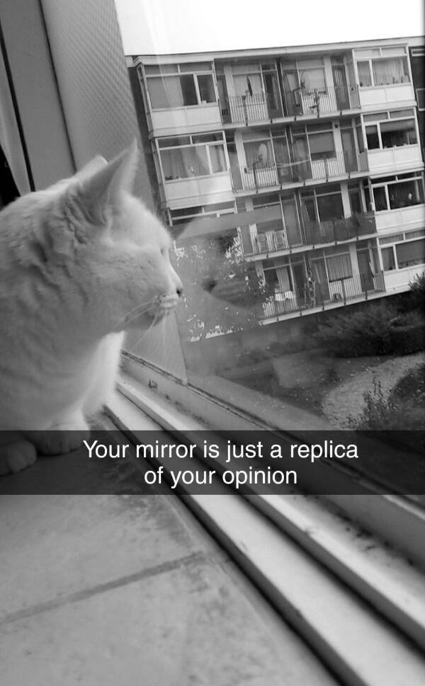 Different Thoughts (16 pics)