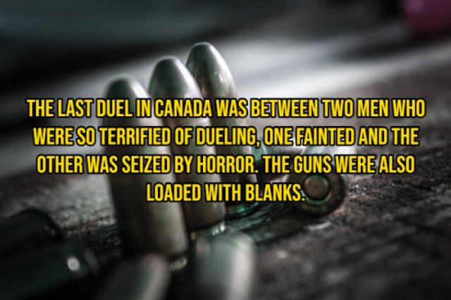 Random Facts (16 pics) Random Facts (16 pics)