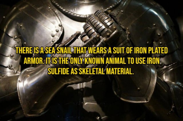 Random Facts (16 pics) Random Facts (16 pics)