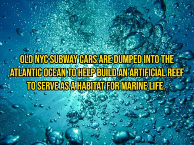 Random Facts (16 pics) Random Facts (16 pics)