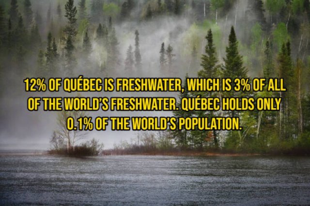 Random Facts (16 pics) Random Facts (16 pics)