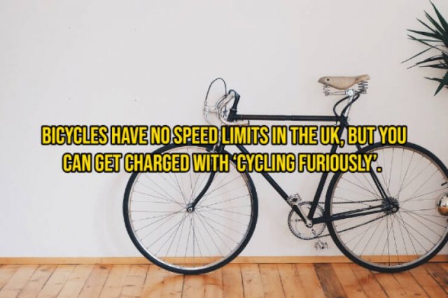 Random Facts (16 pics) Random Facts (16 pics)