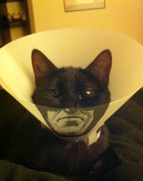 Unexpected Coincidences (72 pics) Unexpected Coincidences (72 pics)
