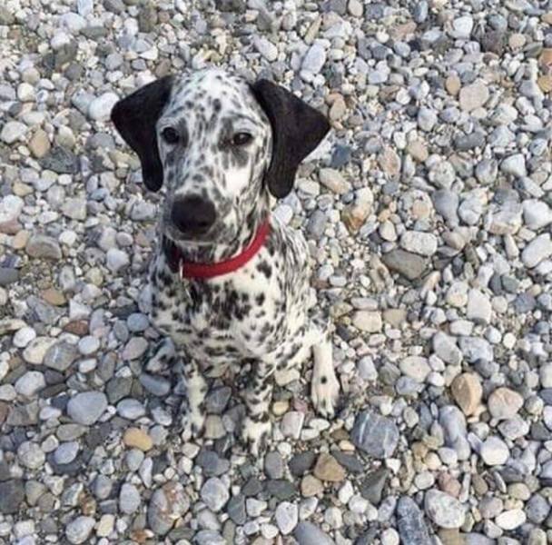 Unexpected Coincidences (72 pics) Unexpected Coincidences (72 pics)