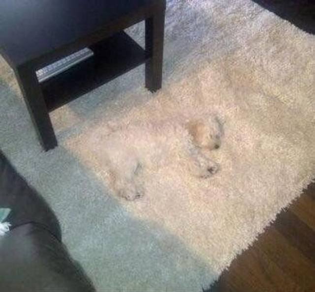Unexpected Coincidences (72 pics) Unexpected Coincidences (72 pics)