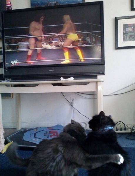 Unexpected Coincidences (72 pics) Unexpected Coincidences (72 pics)