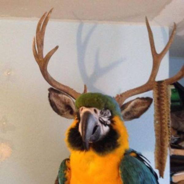 Unexpected Coincidences (72 pics) Unexpected Coincidences (72 pics)