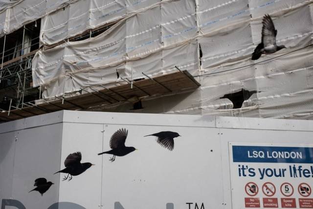 Unexpected Coincidences (72 pics) Unexpected Coincidences (72 pics)