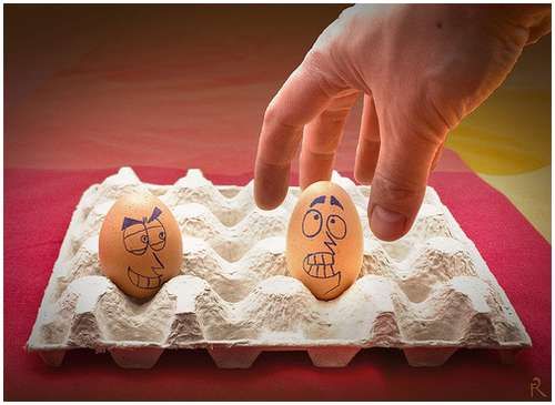 Funny eggs (21 pics)
